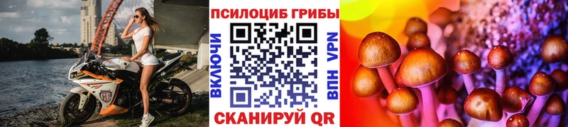 Галлюциногенные грибы мухоморы  kraken tor  Волгореченск 